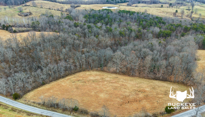 10+/- Acres, Bidwell, Ohio 45614