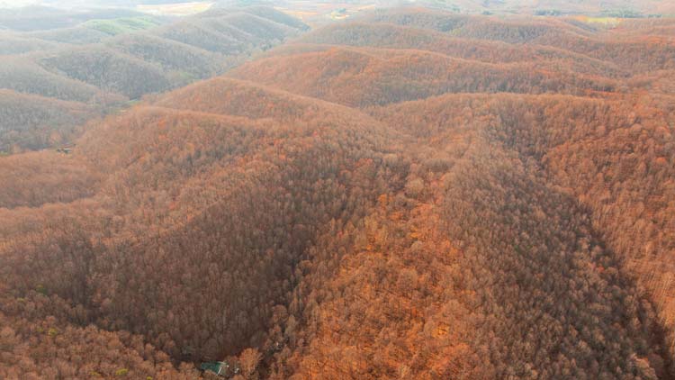 Wooded hillside on recreational property