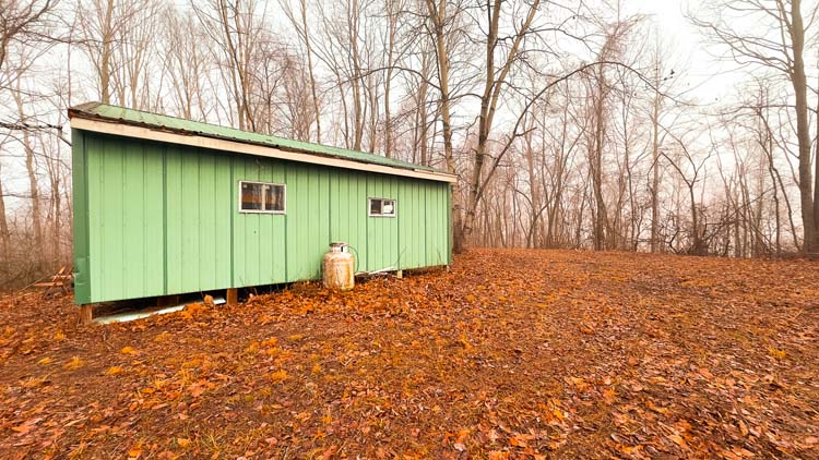 Hardwood forest with recreational trail