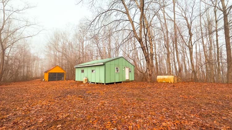 Private hunting acreage with timber