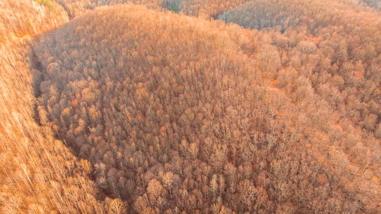 Private wooded land with varied terrain