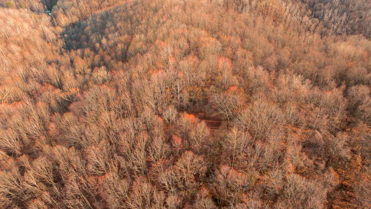 Off-grid building on secluded recreational tract