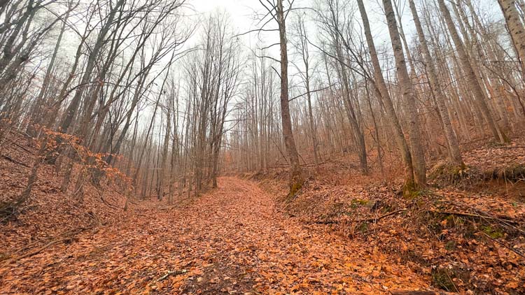 Hilltop structure on private hunting acreage