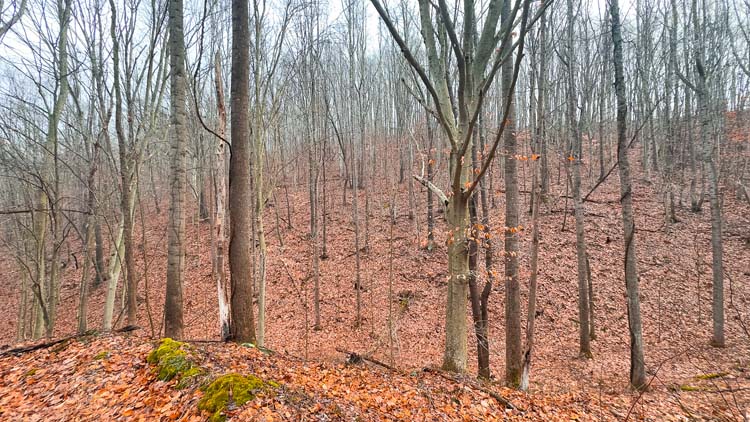 Equipment barn near hunting camp
