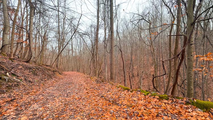 Barn and wooded surroundings on hilltop