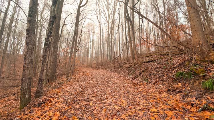 Hunting camp setup with barn storage