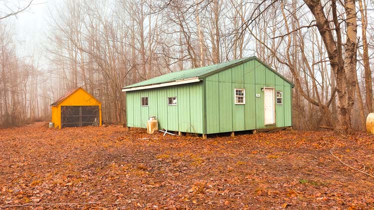 Wooded ridge near off-grid camp