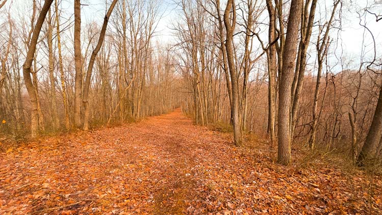 Scenic hardwood ridge for recreation