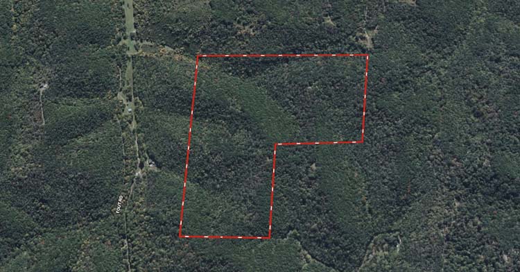 Remote forest property for hunting and camping