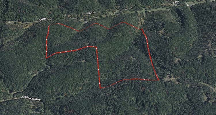 Private timber tract with wildlife habitat