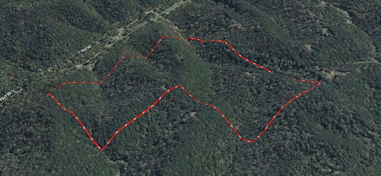 Wooded land set up for hunting camp