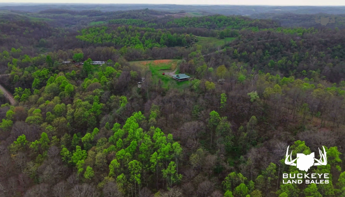 35+/- Acres,  Dexter City, OH 45727