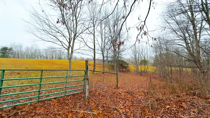 Hilltop homesite clearing
