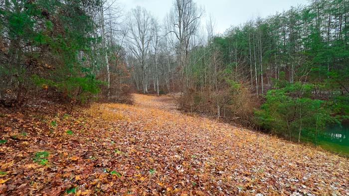 Peaceful rural landscape