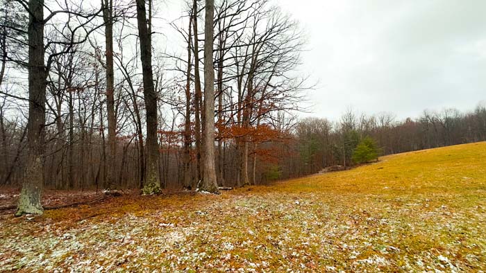 Panoramic hilltop outlook