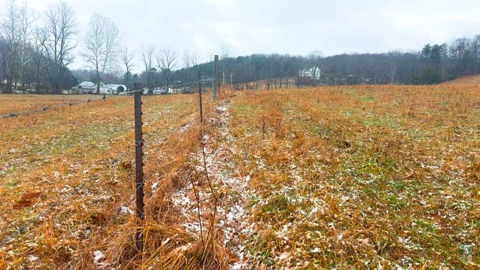 Scenic farm landscape