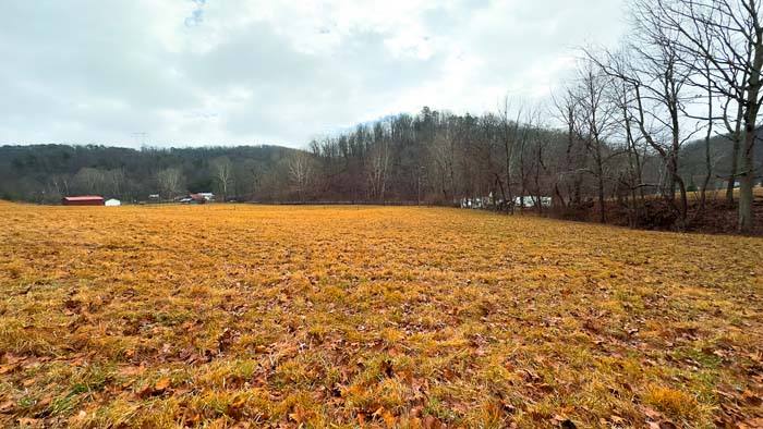 Improved pasture ground