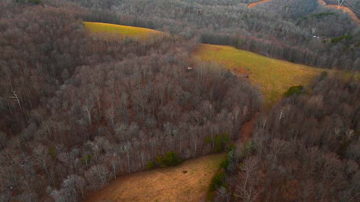 Open southern pasture