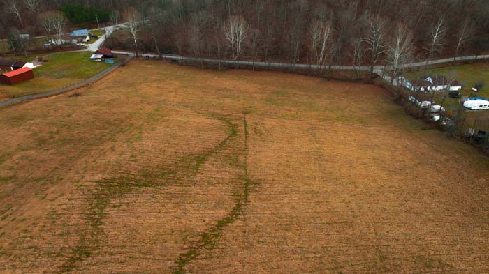 Livestock friendly land