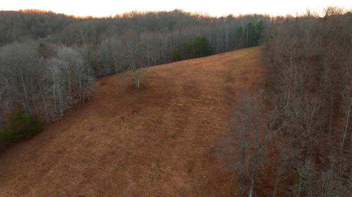 Country estate potential