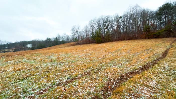 Rolling pasture horizon