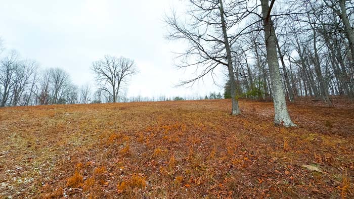 Open countryside tract