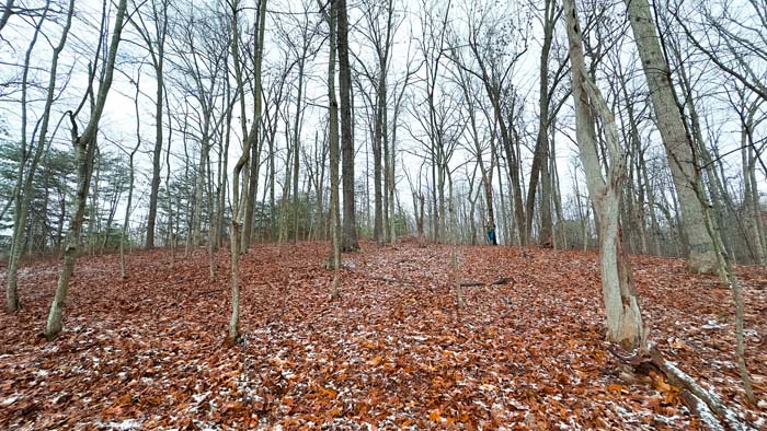 Pastureland with utilities