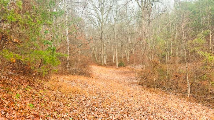 Scenic rural acreage