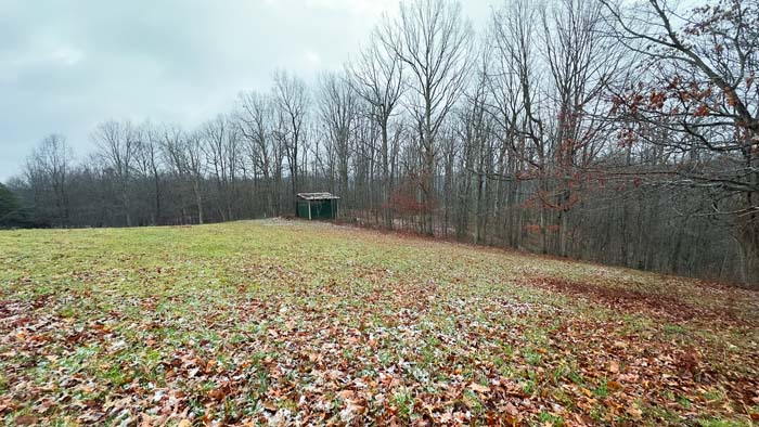 Livestock ready pasture