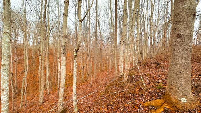 Quiet countryside retreat