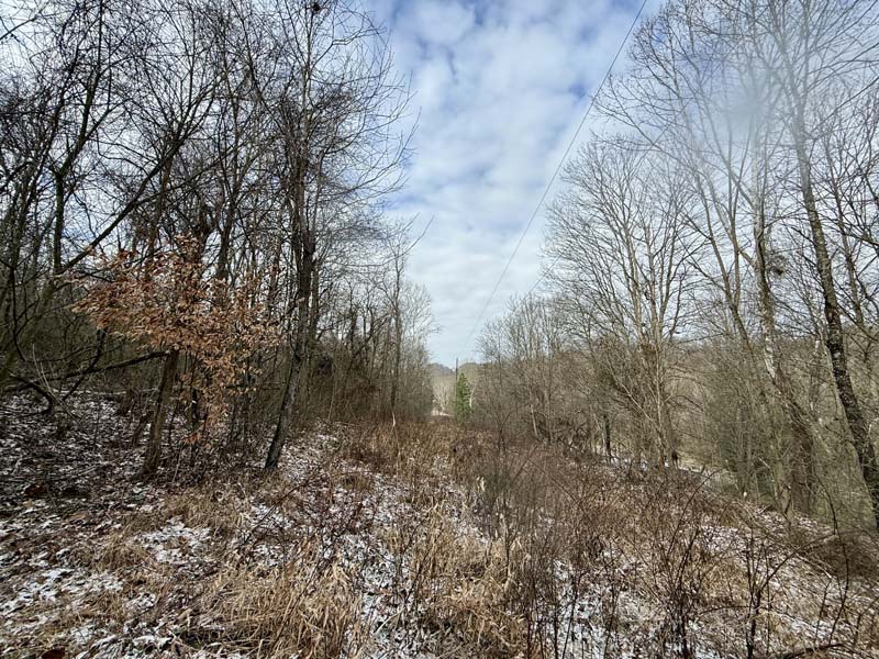 Natural wildlife funnels Ohio hunting