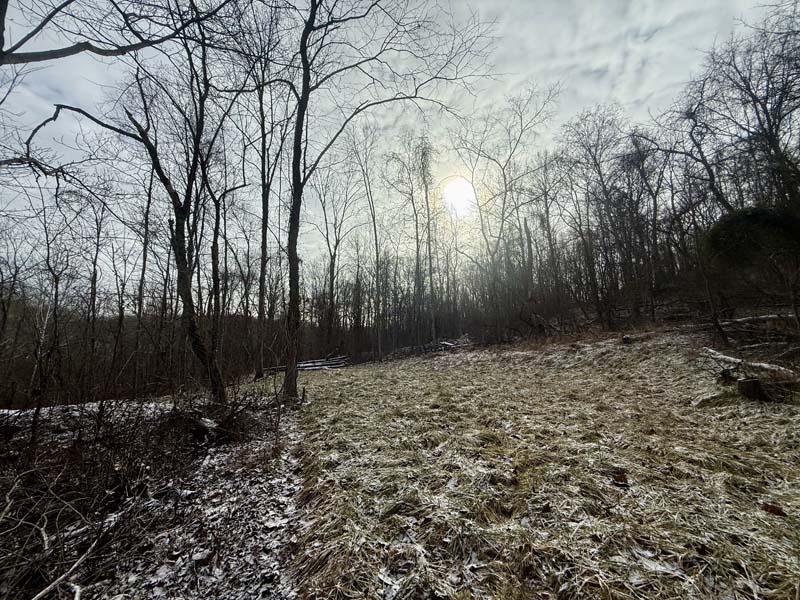 Logging road access Ohio land