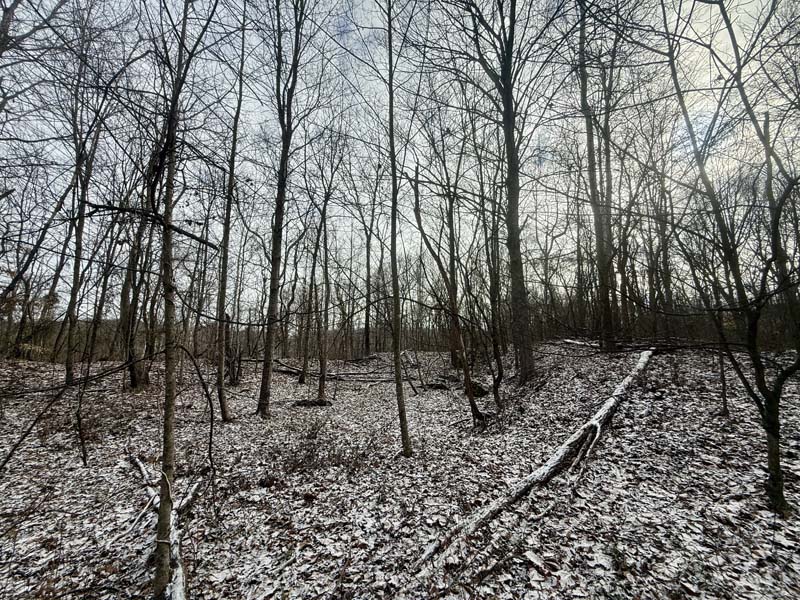 Internal access trails Ohio land
