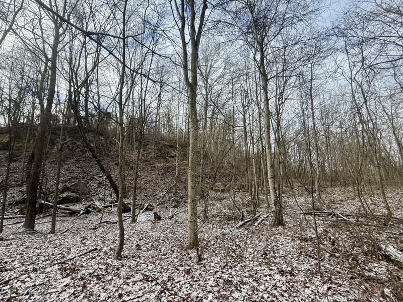 Ideal deer bedding cover Ohio