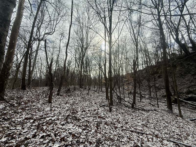 Huntable timber Ohio property