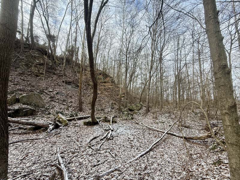Heavy deer sign Ohio woods