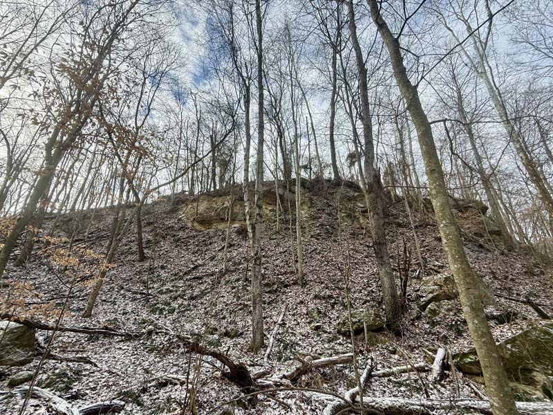 Whitetail habitat Meigs County Ohio