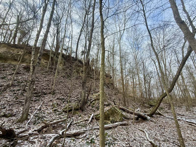 Turkey habitat Ohio land