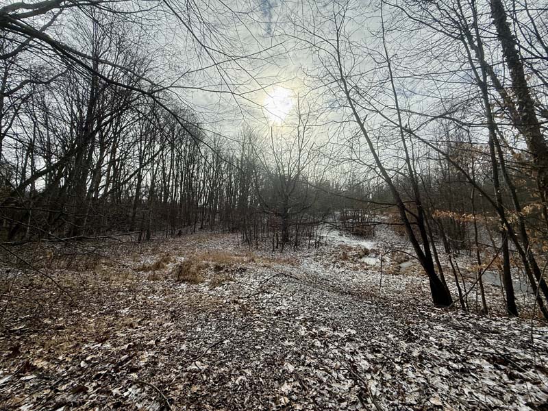 Kill plot locations Ohio land