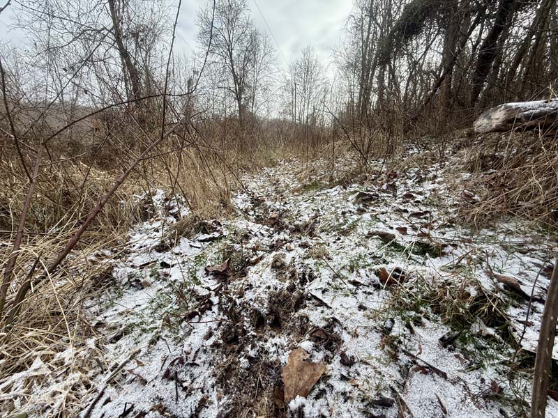 Future homesite Ohio land