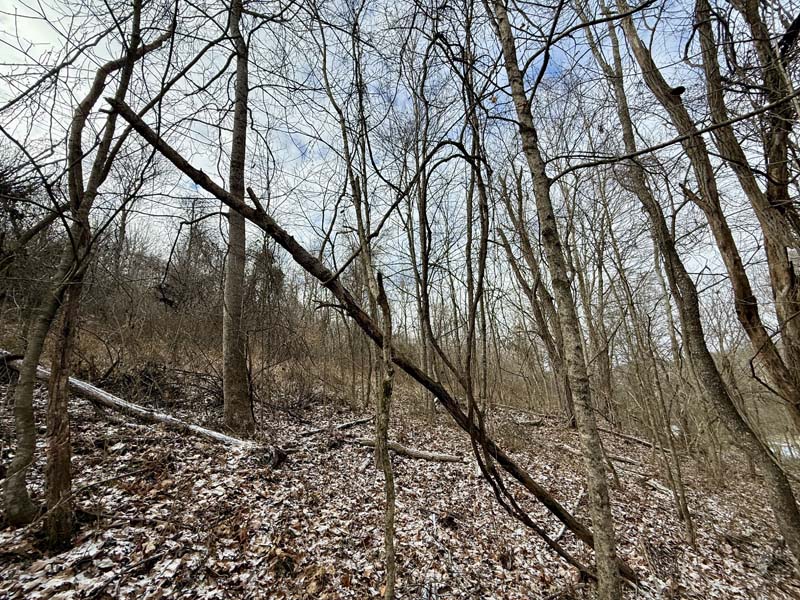 Private getaway Meigs County Ohio