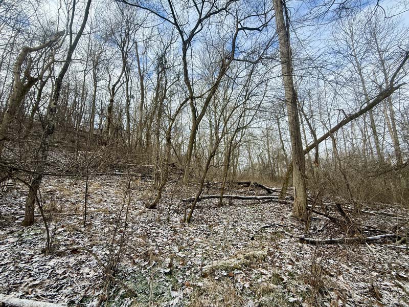 Scenic wooded property Ohio