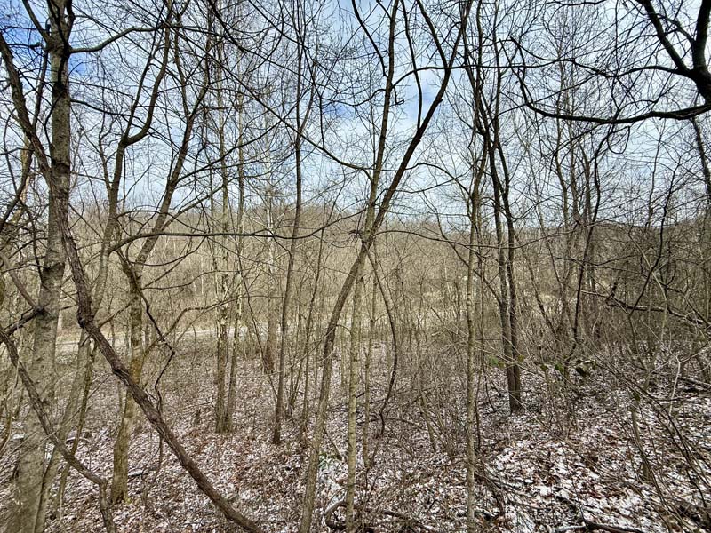 Recreational investment Ohio land