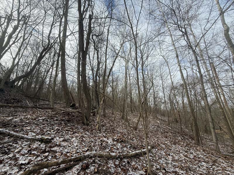 Ridge travel routes Ohio deer