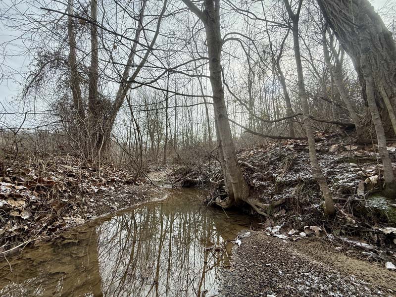 Ohio land with road frontage