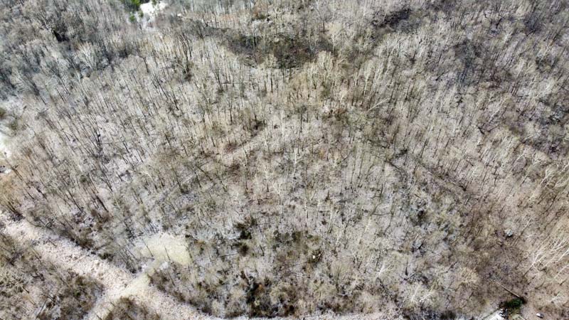 Prime hunting acreage Ohio