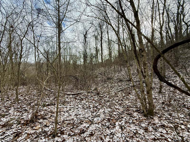 Unique rock features Ohio land