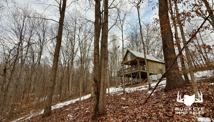 81+/- Acres,  Wellston, Ohio, 45692