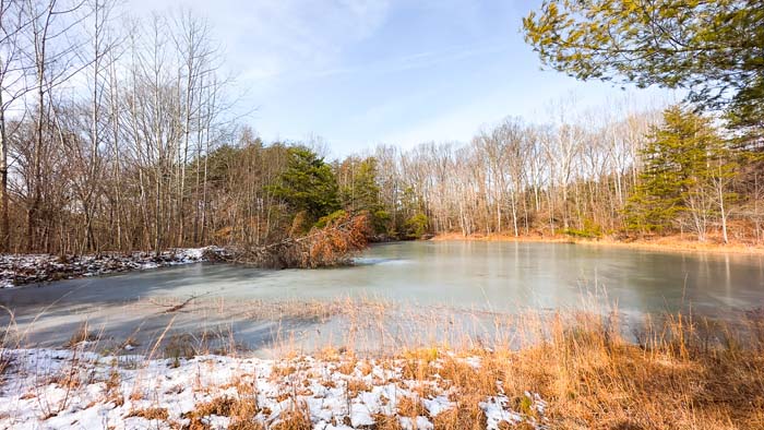 Southern Ohio land for sale with rolling hills and timber