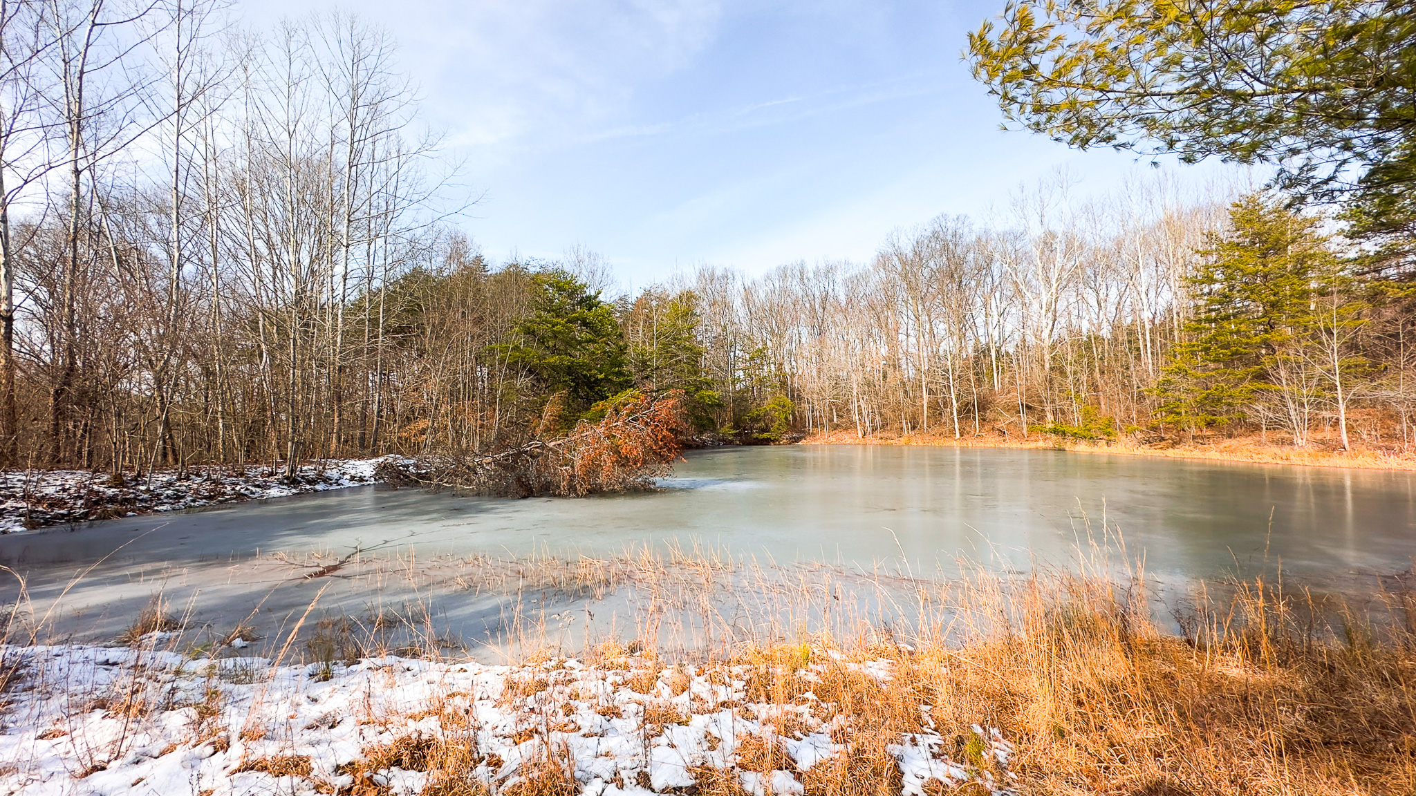 0 Henderson Road — 102-acre Vinton County recreational and hunting property with secluded pond, mature oak woods, pine thickets, and young forest regeneration near Hocking Hills, Ray, Ohio